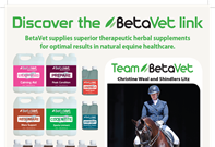 Sponsor Profile: Betavet