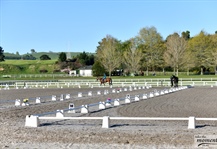 Sponsor Profile: Our BOP Dressage Groups