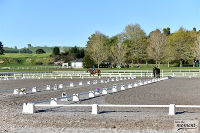 Sponsor Profile: Our BOP Dressage Groups