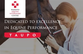 Waikato Equine Veterinary Centre Taupo