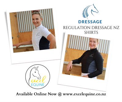 Sponsor Spotlight: Excel Equine