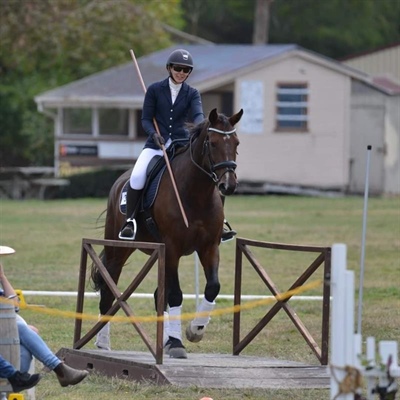 Dressage Tauranga: Working Equitation Clinic with Lucy Scott