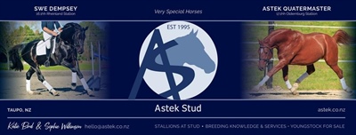 Sponsor Profile: Astek Stud